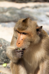 Similar image 13146766