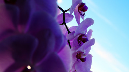 Similar image 13132761