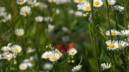 Similar image 13132839