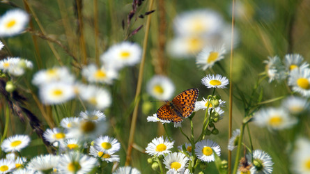 Similar image 13132762