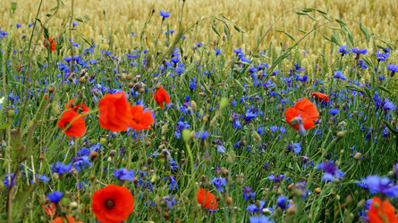 Similar image 13132765