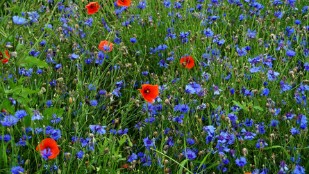 Similar image 13132766