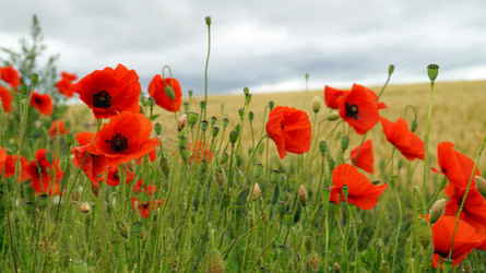 Similar image 13132767