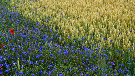 Similar image 13132768