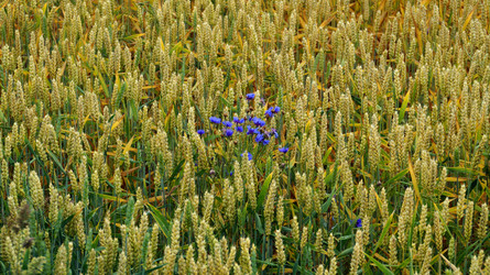 Similar image 13132769