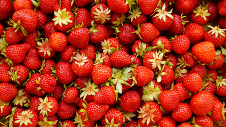 Similar image 13132770