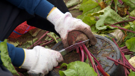 Similar image 13132774