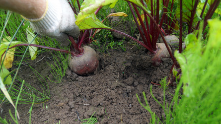 Similar image 13132775