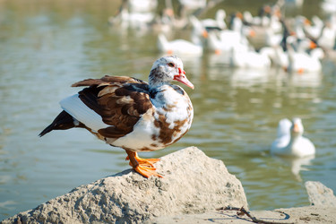 Similar image 13142647