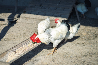 Similar image 13142648