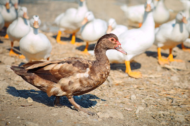 Similar image 13142650