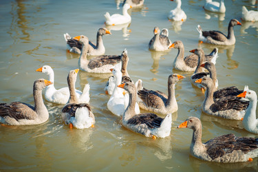 Similar image 13142651