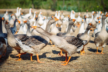 Similar image 13142654