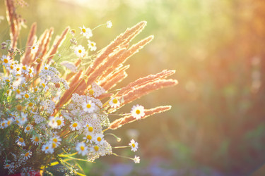 Similar image 13142655