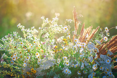 Similar image 13142656