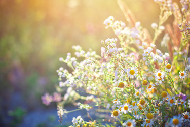 Similar image 13142657