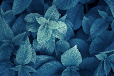 Similar image 13142659