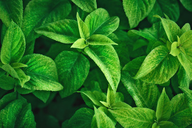 Similar image 13142660