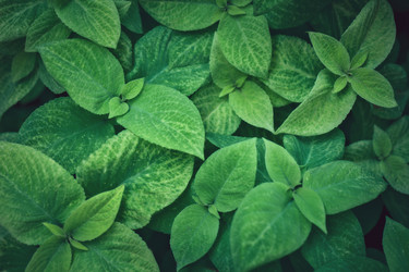 Similar image 13142661