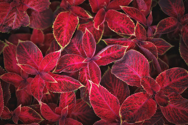 Similar image 13142662