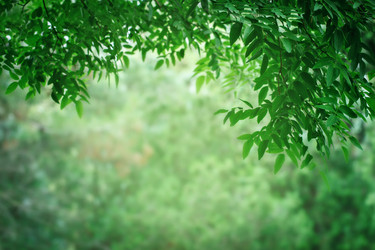 Similar image 13142667