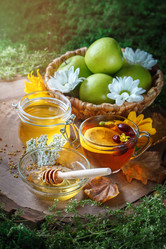 Similar image 13142675