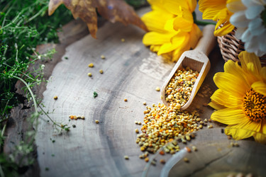 Similar image 13142678