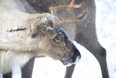 Similar image 13140268