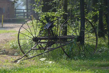 Similar image 13142425