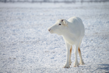 Similar image 13140270