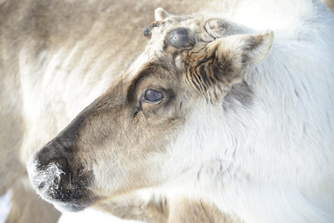 Similar image 13132749