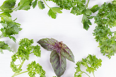 Similar image 13143734