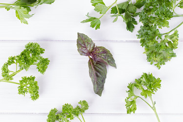 Similar image 13143736