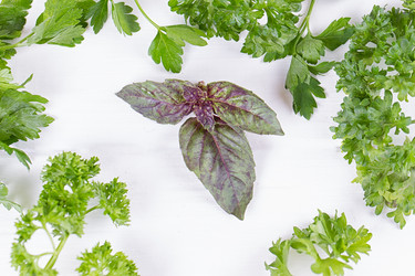 Similar image 13143738