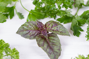 Similar image 13143740