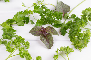 Similar image 13143776