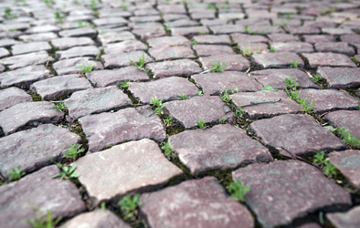 Similar image 13137660