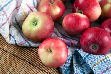 Similar image 13137668