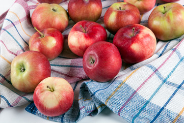 Similar image 13137669