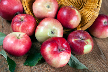 Similar image 13137670