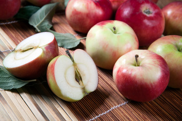 Similar image 13137683