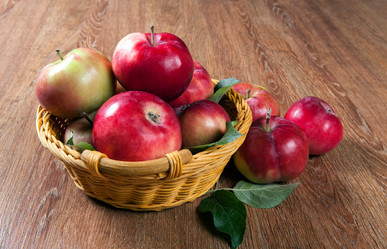 Similar image 13137686