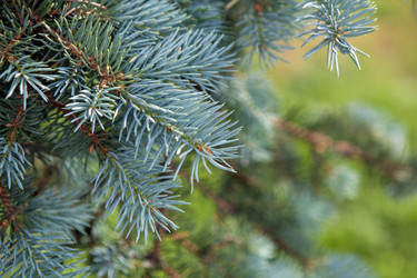 Similar image 13137687