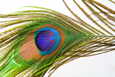 Similar image 13144855