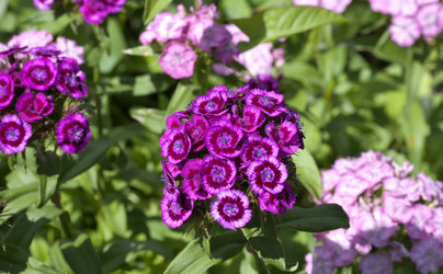 Similar image 13144181