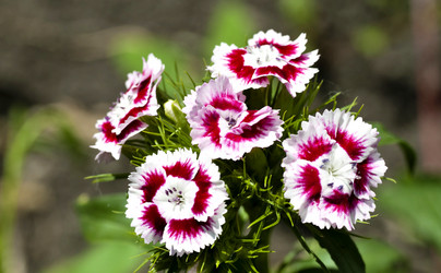 Similar image 13144200