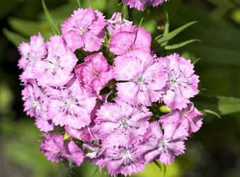 Similar image 13144201