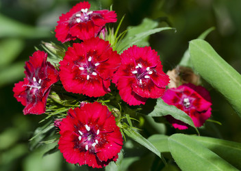 Similar image 13144220