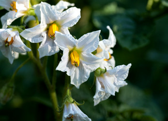 Similar image 13144261