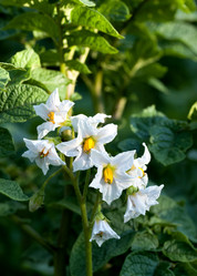 Similar image 13144280